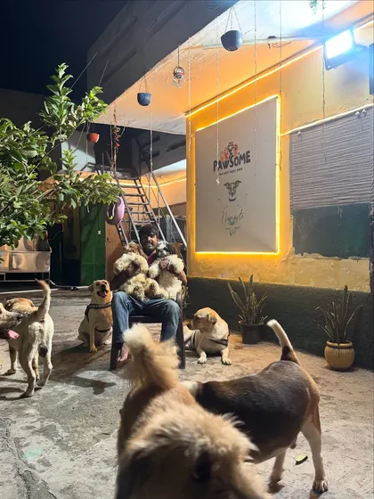 The whole gang gathers around for evening cuddles. It's a peaceful end to an exciting day of play.