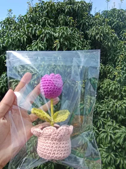A single potted tulip in a clear pouch, ready for individual sale at a craft fair or in a shop.
