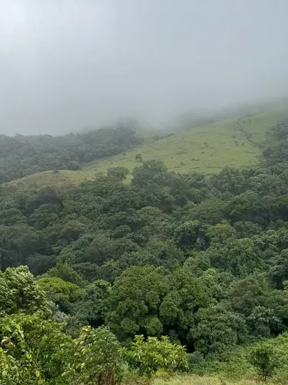 The dense, misty forests of the Chikmagalur region create a mysterious and enchanting atmosphere for our treks.