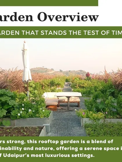 This garden has been thriving for over six years, a testament to our sustainable design and management practices. It provides a peaceful seating area for guests amidst rows of herbs, vegetables, and ornamental grasses.