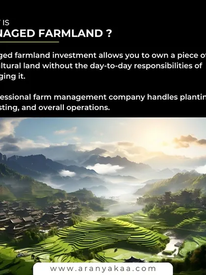 What is managed farmland? It is an investment that allows you to own a piece of agricultural land while our professional management company handles all operations, from planting and harvesting to sales.