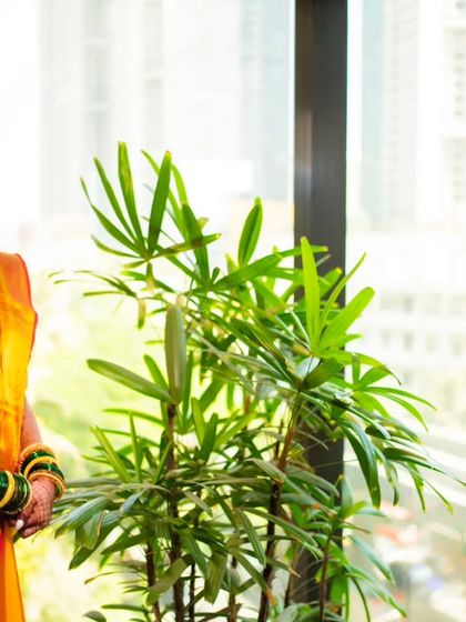 A lovely bridal portrait by a window, using natural light to create a soft and elegant look.