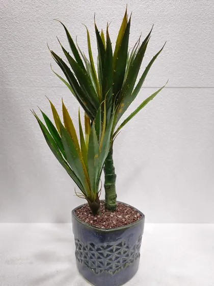 An artificial Yucca plant in a patterned blue pot, offering a sharp, modern aesthetic.
