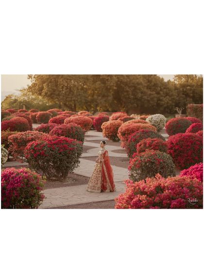 Majestic Palace Weddings photo 19