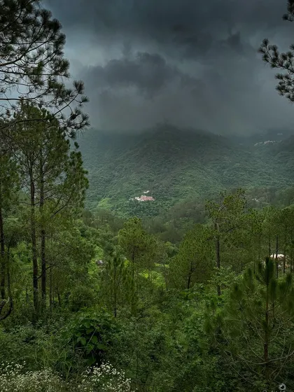 The deep green valleys of Uttarakhand under a blanket of dramatic, moody clouds. This shot, taken on my iPhone, shows that the most powerful landscapes don't always need bright sunshine; sometimes the story is in the storm.