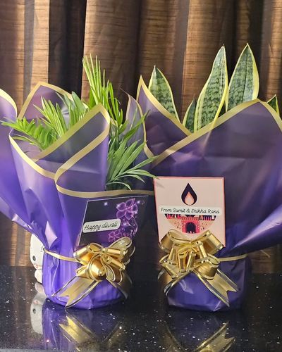 Plant Gifting