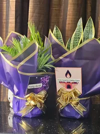 Plant Gifting