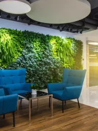 Vertical Gardens