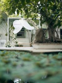 Wedding & Engagement Planning