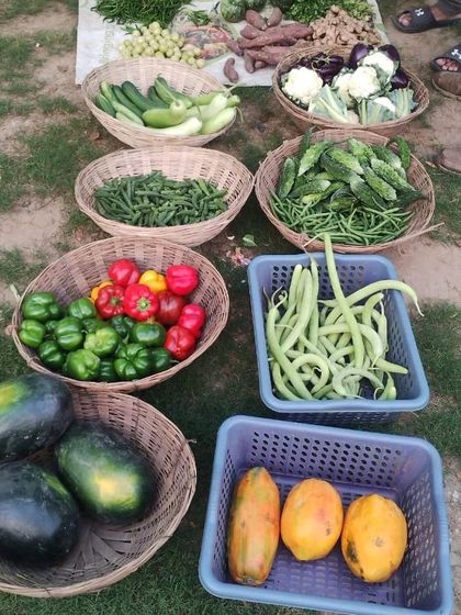 A wide view of a farmer's stall with baskets of watermelon, papaya, bell peppers, beans, and gourds.