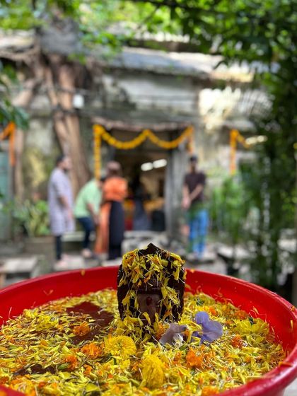 A small clay Ganesha during its visarjan in a tub of water and marigold petals, with our studio in the background. A simple, beautiful, and responsible farewell.