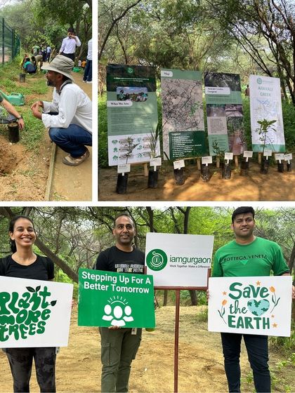A collage highlighting the educational aspect of the Fidelity drive, with our expert explaining the importance of native species before the team gets to work.