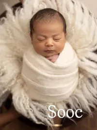 Photography Workshops & Mentoring