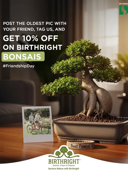 Celebrate Friendship Day by gifting a bonsai, a symbol of a long and cherished bond. We often run promotions, like this one, to encourage sharing the gift of green with your best friend.