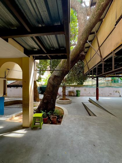 A view from under the elevated classroom, showing how the structure carefully navigates around a large, mature tree. Preserving the existing natural context was a primary goal of the project.