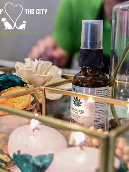 Tails of the City - Pet Supplies Glow-Ups & Spa Days photo 5