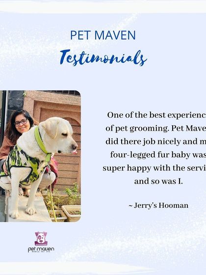 We are so glad Jerry and his human were happy with our service! A happy four-legged fur baby is always our number one goal.