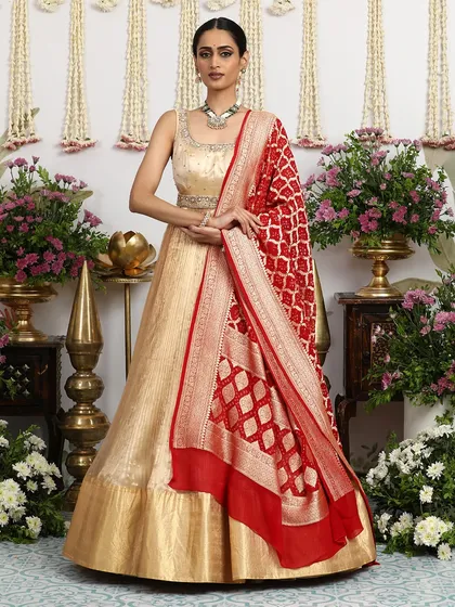 The full view of the gold gown with the red Banarasi dupatta, a classic combination for any festive occasion.