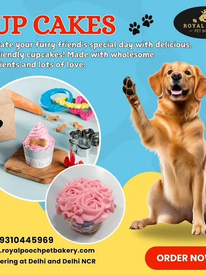 It’s not just about big cakes. I also create delightful, pet-friendly cupcakes, perfect for a smaller treat or party favors for your pup's friends.