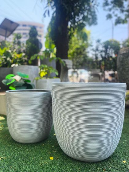 A pair of my white FRP planters with a subtle horizontal ribbed texture, combining beauty with durability.