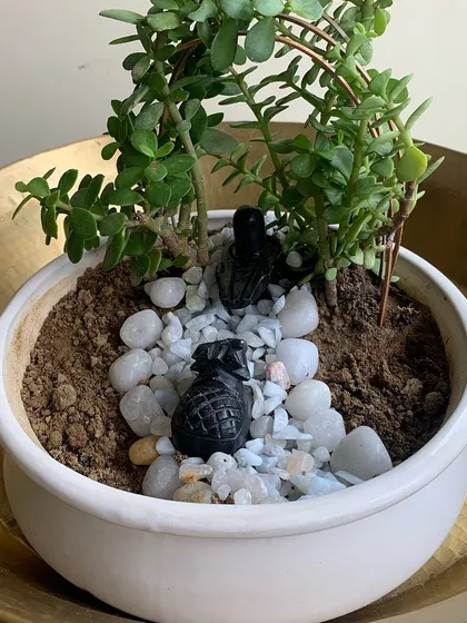 This mini garden features a lush jade plant creating a natural archway over a pebble path. The small black decorative pieces add a touch of modern style, making it a sophisticated green accessory for any professional's desk.