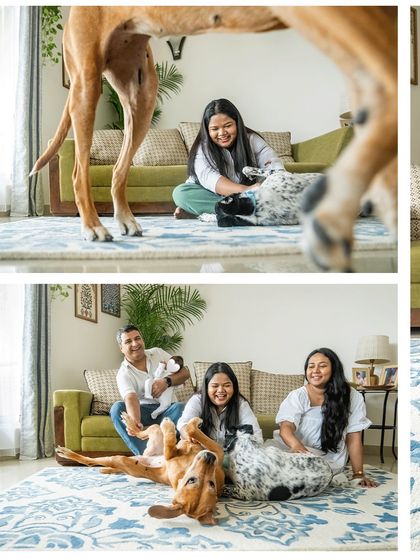A collage showing the full family dynamic. In one frame, the dogs play joyfully with their human sister, and in the other, the whole family relaxes together, showcasing the happy chaos of a home filled with love.