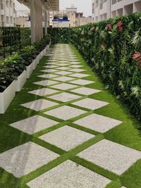 Artificial Plants & Turf
