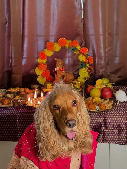 Posto posing in front of the beautifully decorated puja setup for Janmashtami.