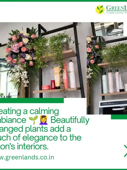 Beautifully arranged plants and flowers on a display shelf in a salon. We create calming ambiances by integrating greenery with the existing decor, adding a touch of natural elegance.