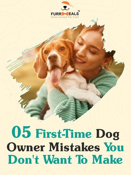 This comprehensive guide for new pet parents covers five key areas: establishing yourself as the pack leader, obedience training, avoiding overfeeding, ensuring enough exercise, and the importance of regular vet visits.