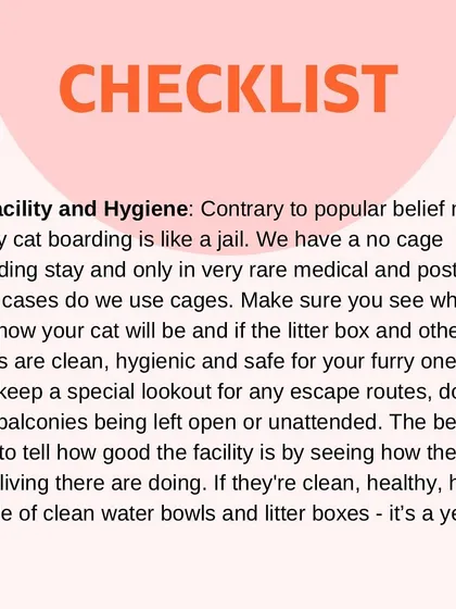 A good boarding facility should be a clean, safe, cage-free home, not a jail. Always check for hygiene, escape routes, and see how the resident cats are doing.