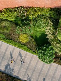 Commercial & Institutional Landscape Design