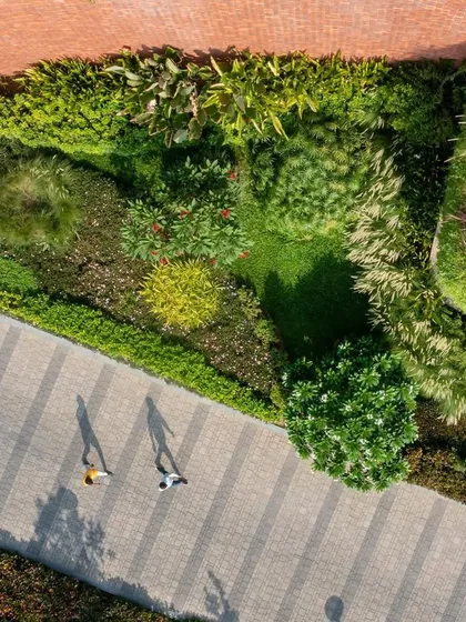 An aerial view of the Greenlab project highlights the textures and patterns of the planting design. This perspective shows how I use different plant species to create natural contours that complement the architectural forms.