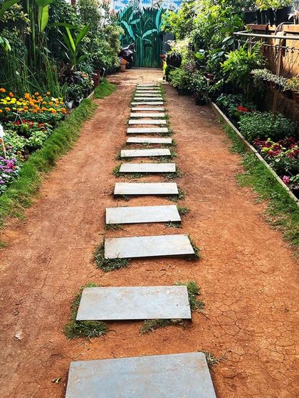 A peaceful pathway at our partner store, Ambara, by Ulsoor Lake. It's the perfect place to unwind amidst nature and indulge your plant passion with our curated collection.