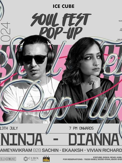 Dianna - Live DJ Performance Soul Fest: My Community Project photo 3