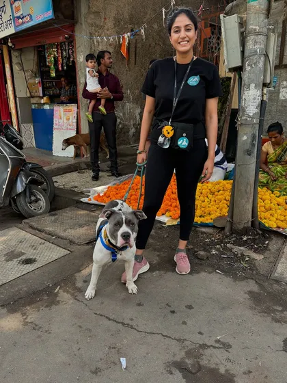 A successful walk in a busy city environment. This dog is walking calmly on a loose leash, ignoring the distractions of a crowded street market. This is the goal of our leash manners training.