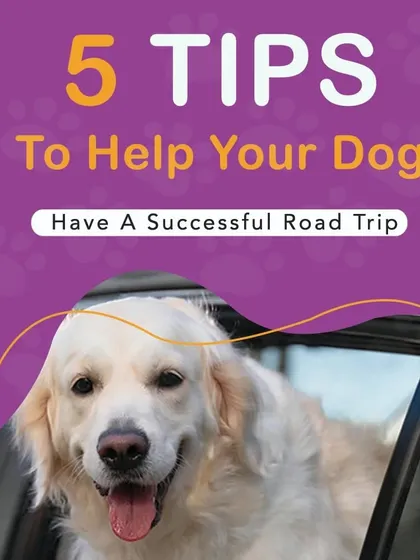 Planning a road trip with your dog? Here are 5 tips to help you have a successful and stress-free journey with your furry travel partner.