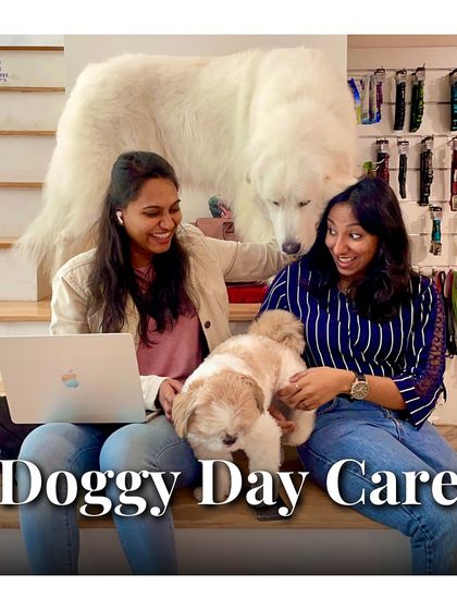 PawsnCollars - Pet Boarding & Hotel Luxury Dog Suites & Stays photo 11