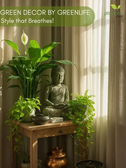 We created this tranquil meditation corner using a combination of a Peace Lily, trailing Pothos, and a Boston Fern surrounding a Buddha statue. It's a perfect example of how plants can enhance a space for mindfulness.