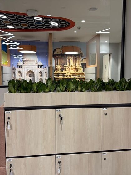 Planters integrated into custom cabinetry at the Prudential office. This solution provides storage while also serving as a base for greenery, ensuring that every element of the design is both functional and contributes to the overall wellness of the space.