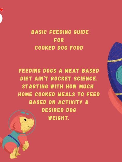 Hungry Eyes - Freshly Cooked Dog Meals Empowering Pet Parents photo 20