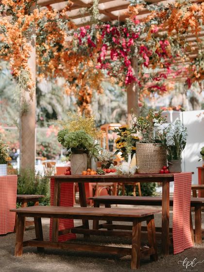 Picnic-style benches under a pergola draped in bougainvillea, creating a charming and colorful dining area for the outdoor Mehendi.