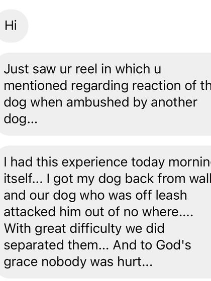 Confident Dogs - Pre-Adoption Counseling The Science of a Confident Dog photo 7