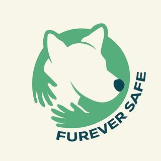 Furever Safe