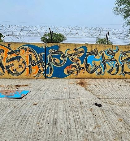 Yogi Graffiti - Custom Murals & Wall Art Pure Graffiti: Wildstyle & Crew Sessions photo 16