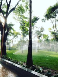 Landscape Maintenance