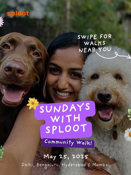 An announcement for our 'Sundays with Sploot' community walk, inviting dog parents from Delhi, Bengaluru, Hyderabad, and Mumbai to join us.