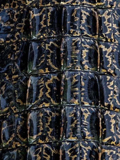 The scales of an Estuarine Crocodile at Sungei Buloh Wetlands Park, Singapore. The wet, glistening surface highlights the rugged, armor-like texture and the intricate golden-brown pattern on its dark skin.