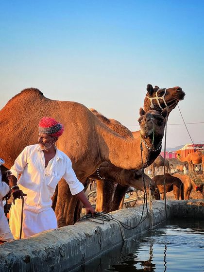 Beyond Mumbai: Cultural Explorations photo 4