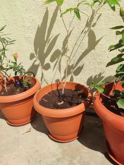 Hygrinz - Vertical Gardens & Irrigation Systems Automated Drip Irrigation: Water-Wise Solutions photo 4